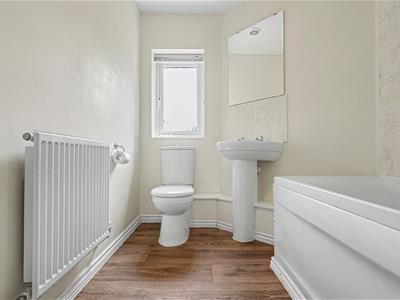 Picture 20
